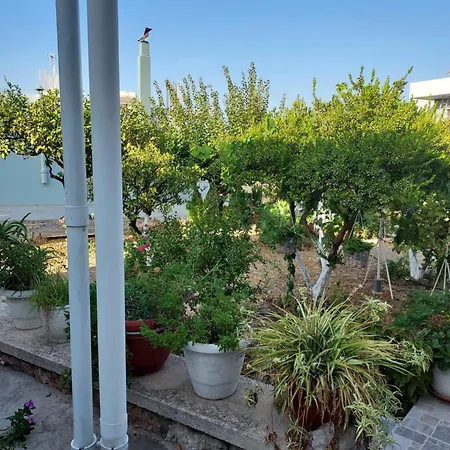 Tatil Evi Anastasia's Garden House Ialysos (Rhodes)