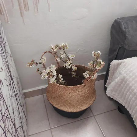 Dom wakacyjny Anastasia's Garden House Jalisos