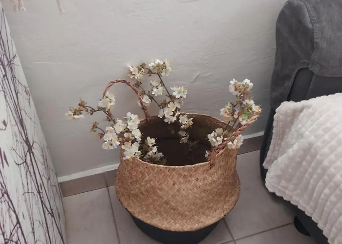 Prázdninový dům Anastasia's Garden House Ialysos (Rhodes)